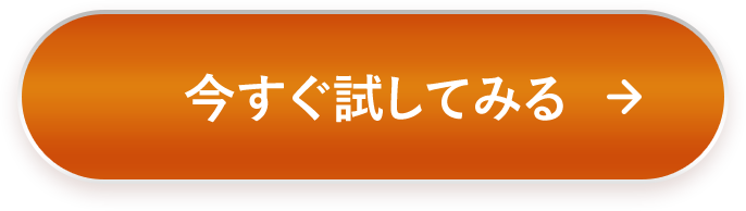 500円で食べてみる