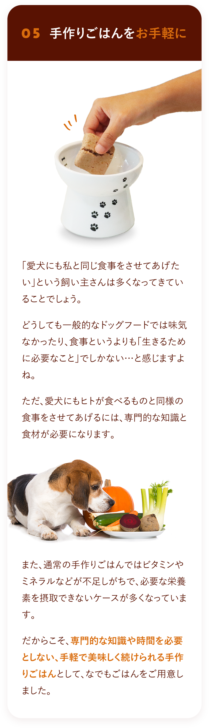 手作りごはんをお手軽に