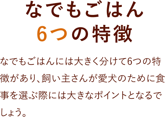 なでもごはん6つの特徴