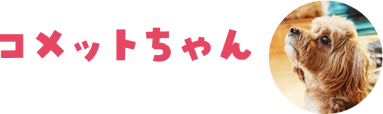 コメット