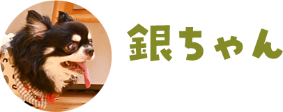 銀