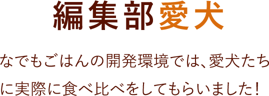 編集部愛犬