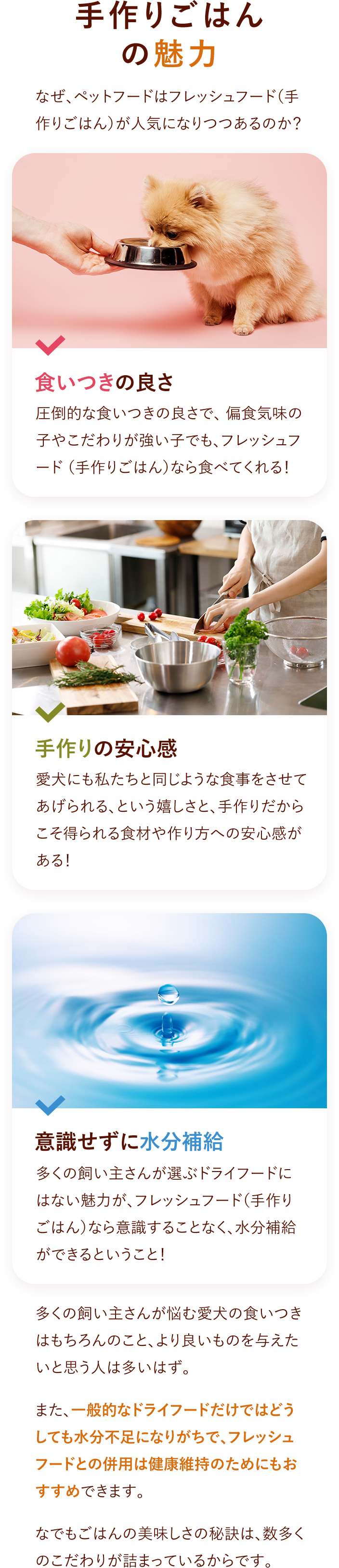 手作りごはんの魅力