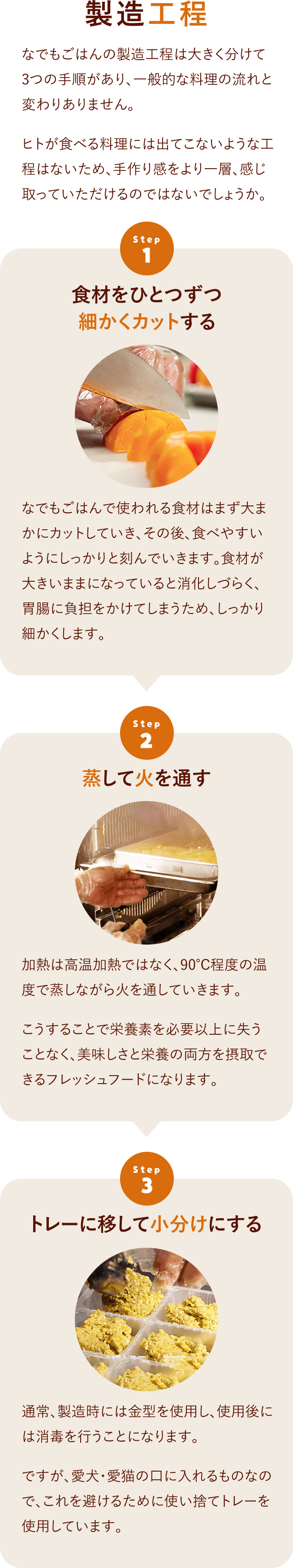 調理・製造環境と安全性