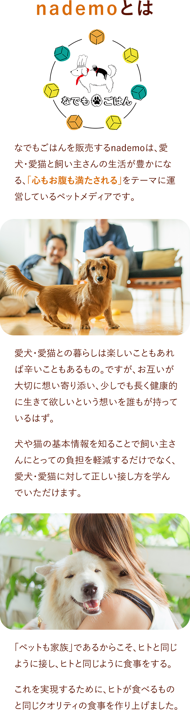 nademoとは