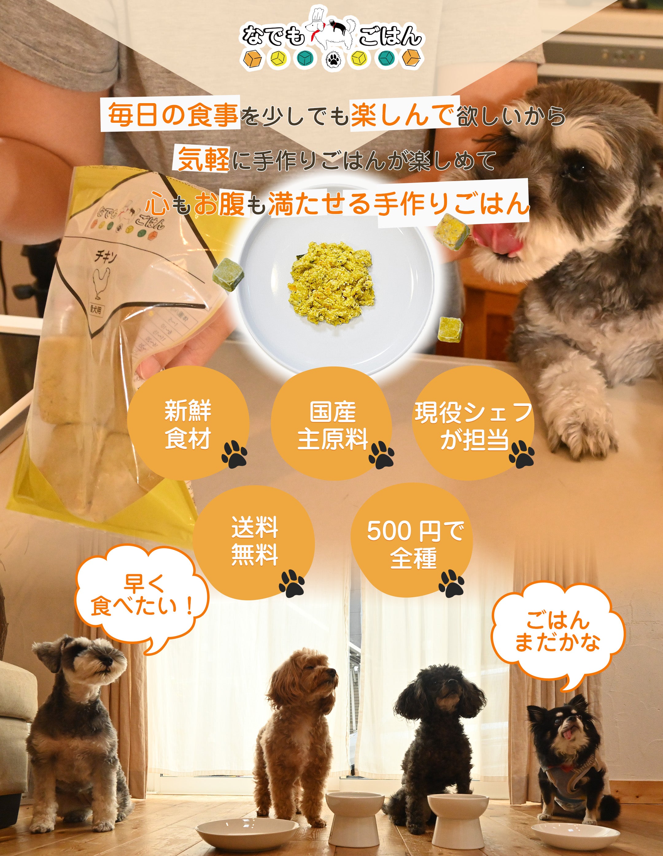 なでもごはん